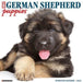 Just German Shepherd Puppies 2023 Wall Calendar by Willow Creek Press