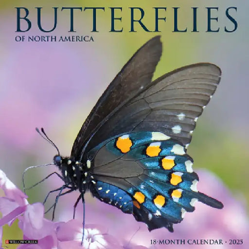 Butterflies 2025 12 X 12 Wall Calendar by Willow Creek Press