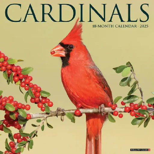 Cardinals 2025 12 X 12 Wall Calendar by Willow Creek Press