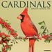 Cardinals 2025 12 X 12 Wall Calendar by Willow Creek Press