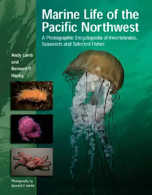 Marine Life of the Pacific Northwest: A Photographic Encyclopedia of Invertebrates, Seaweeds and Selected Fishes by Andy Lamb