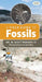 A Field Guide to Fossils by W. Scott Persons
