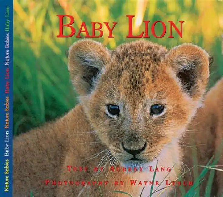 Baby Lion by Aubrey Lang, Wayne Lynch
