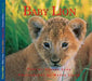 Baby Lion by Aubrey Lang, Wayne Lynch