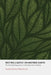 Resting Lightly on Mother Earth: The Aboriginal Experience in Urban Educational Settings by Angela Ward, Rita Bouvier