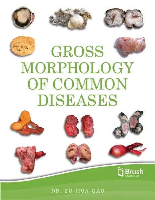 Gross Morphology of Common Diseases by Zu-Hua Gao