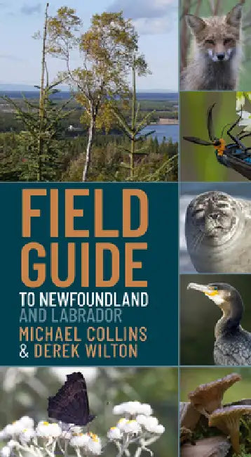 Field Guide to Newfoundland and Labrador: The Island of Newfoundland by Michael A. J. Collins, Derek H. C. Wilton
