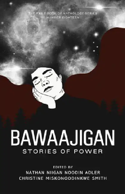 Bawaajigan: Stories of Power: The Exile Book of Anthology Series: Number Eighteen by Nathan Niigan Noodin Adler