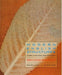 Modern English Structures - Second Edition: Form, Function, and Position by Bernard O'Dwyer