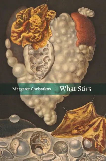 What Stirs by Margaret Christakos