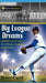 Big League Dreams: Baseball Hall of Fame's First African-Canadian, Fergie Jenkins by Richard Brignall