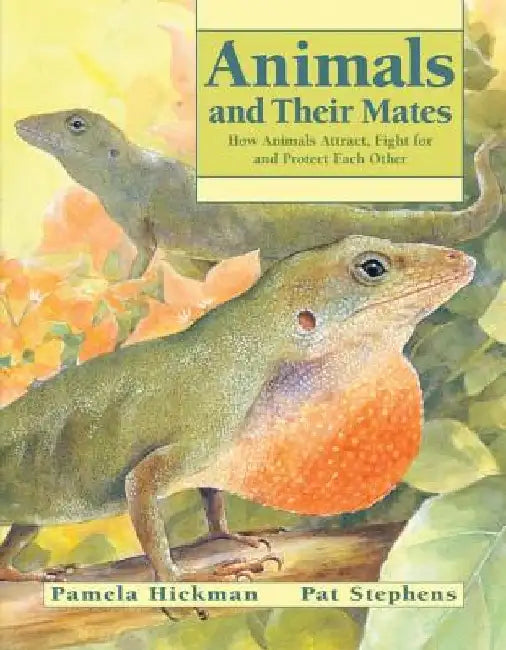 Animals and Their Mates: How Animals Attract, Fight for and Protect Each Other by Pamela Hickman