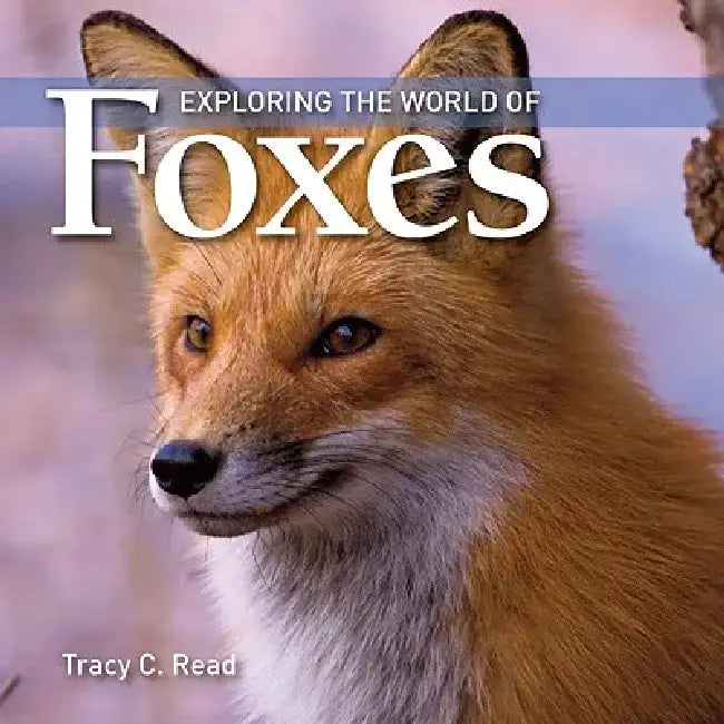 Exploring the World of Foxes by Tracy C. Read