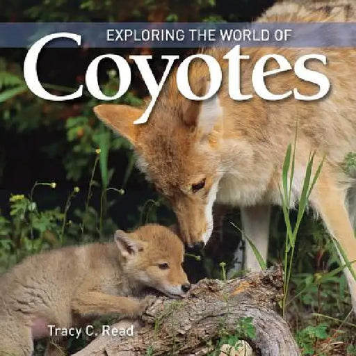 Exploring the World of Coyotes by Tracy C. Read