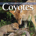 Exploring the World of Coyotes by Tracy C. Read