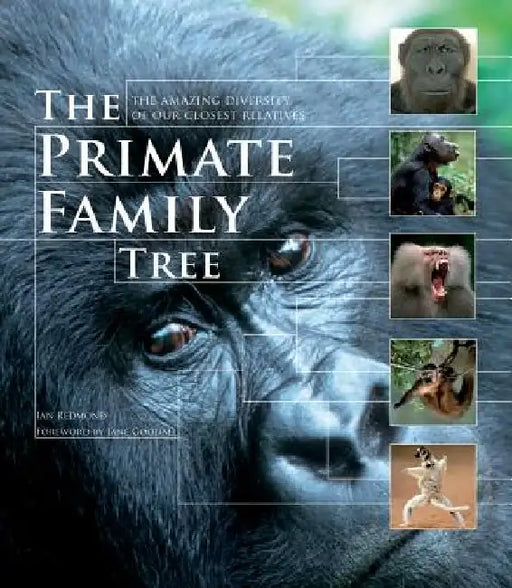 The Primate Family Tree by Ian Redmond