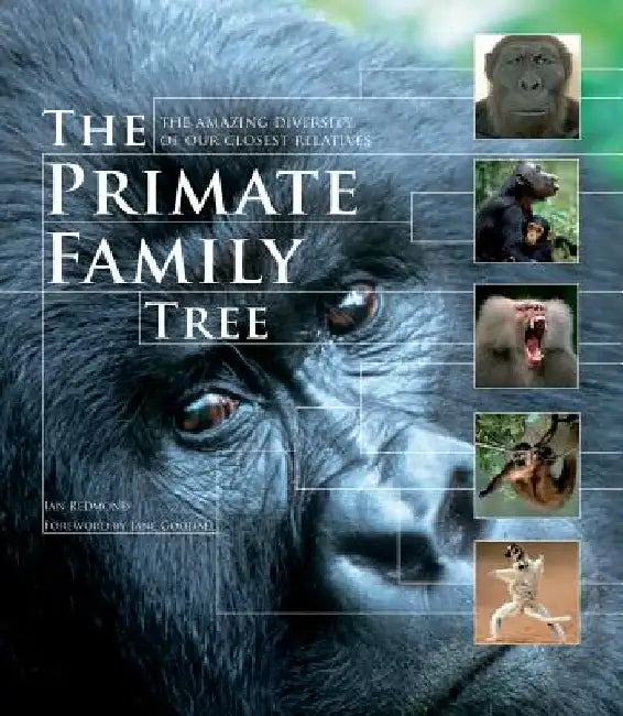 The Primate Family Tree by Ian Redmond