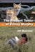 The Present Tense of Prinny Murphy by Jill MacLean