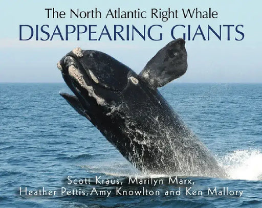 North Atlantic Right Whale by Scott Kraus