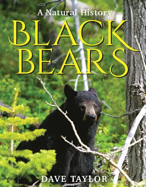 Black Bears: A Natural History by Dave Taylor