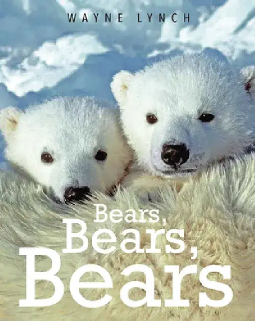 Bears Bears Bears for Kids by Wayne Lynch