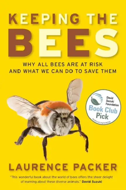 Keeping The Bees by Laurence Packer