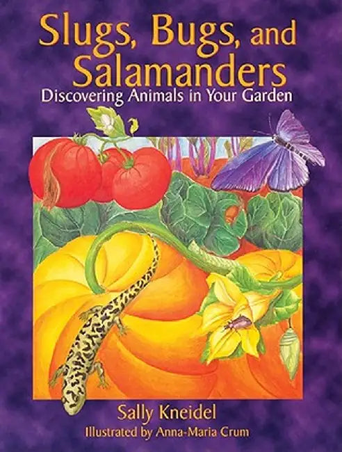Slugs, Bugs, and Salamanders by Sally Kneidel