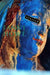 One Crossed Out: Poems by Fanny Howe