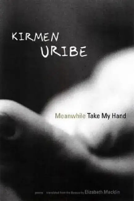 Meanwhile Take My Hand by Kirmen Uribe