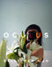 Oculus: Poems by Sally Wen Mao