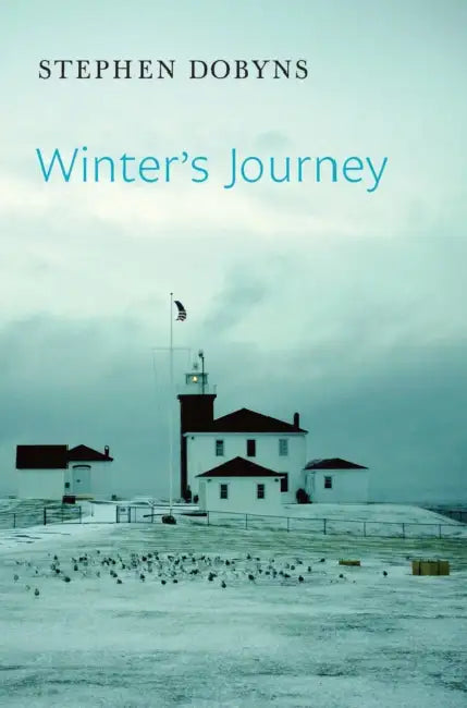 Winter's Journey by Stephen Dobyns