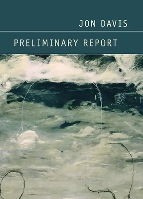 Preliminary Report by Jon Davis