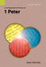 An Exegetical Summary of 1 Peter, 2nd Edition by C. David Abernathy