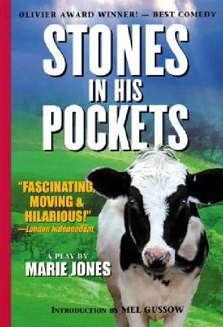 Stones in His Pockets by Marie Jones