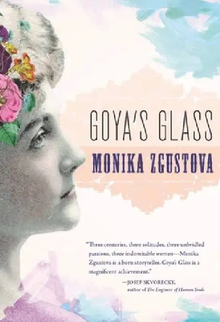 Goya's Glass by Monika Zgustova