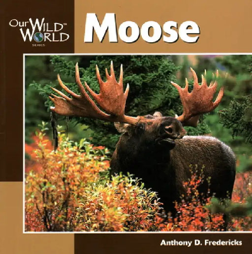 Moose -OSI by Anthony Fredericks