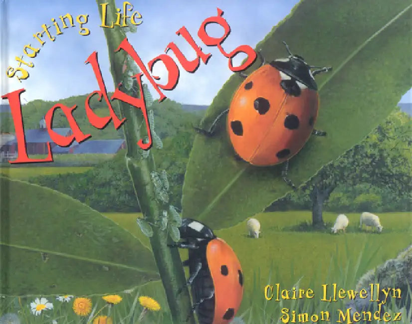 Ladybug by Claire Llewellyn