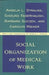 Social Organization of Medical Work by Seymour Lipset, Carolyn L. Wiener
