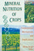 Mineral Nutrition of Crops: Fundamental Mechanisms and Implications by Zdenko Rengel