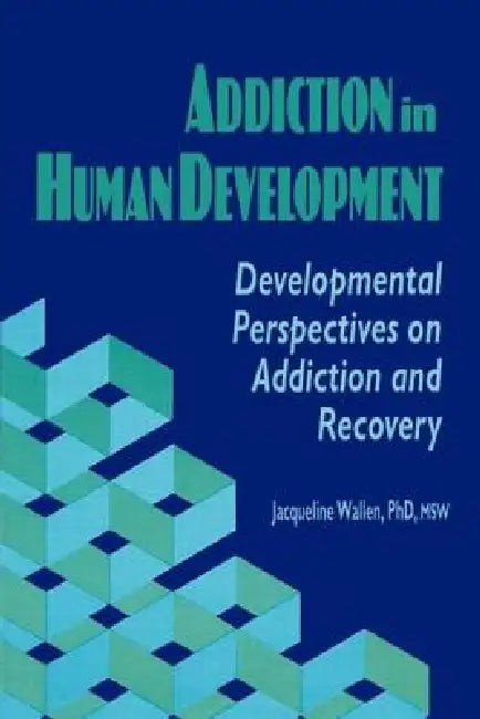 Addiction in Human Development: Developmental Perspectives on Addiction and Recovery by Bruce Carruth