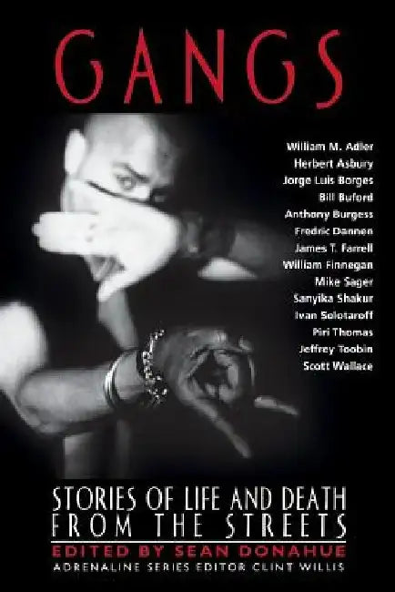 Gangs: Stories of Life and Death from the Streets by Sean Donahue