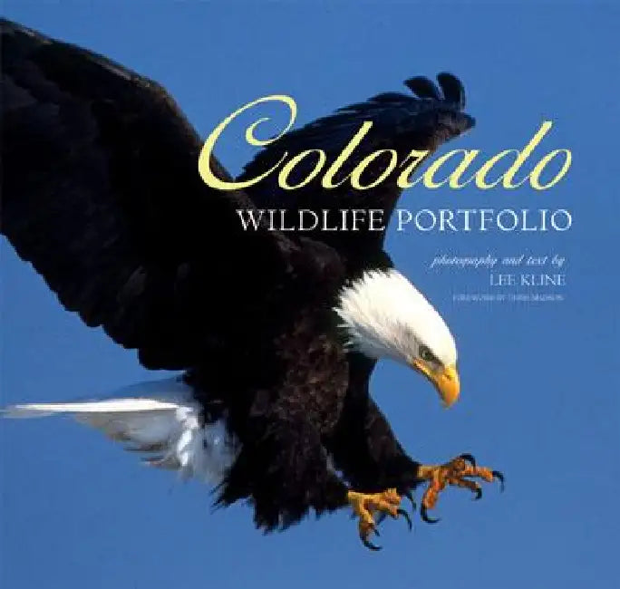 Colorado Wildlife Portfolio by Kline, Lee Kline