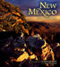 New Mexico Wild & Beautiful by Laurence Parent, Emily Drabanski
