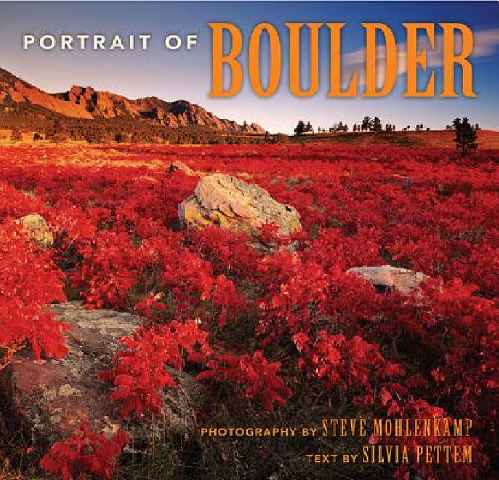 Portrait of Boulder by Steve Mohlenkamp