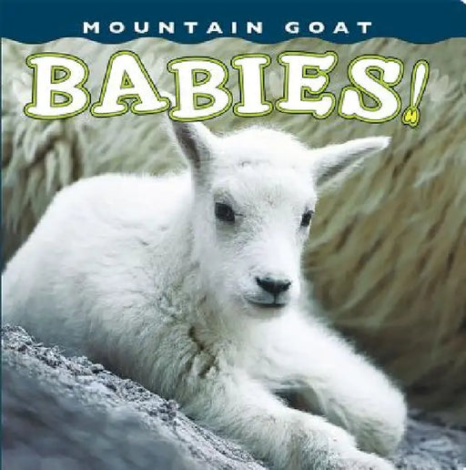 Mountain Goat Babies! by Sumio Harada