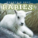 Mountain Goat Babies! by Sumio Harada