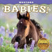 Mustang Babies! by Carol J. Walker