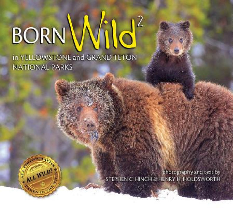 Born Wild 2: In Yellowstone and Grand Teton National Parks by Stephen C. Hinch, Henry H. Holdsworth