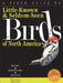 A Field Guide to Little-Known and Seldom-Seen Birds of North America by Cathryn Sill