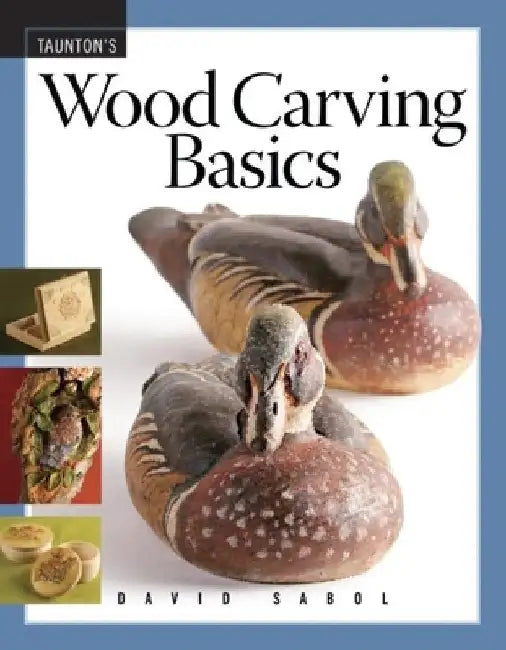 Wood Carving Basics by David Sabol